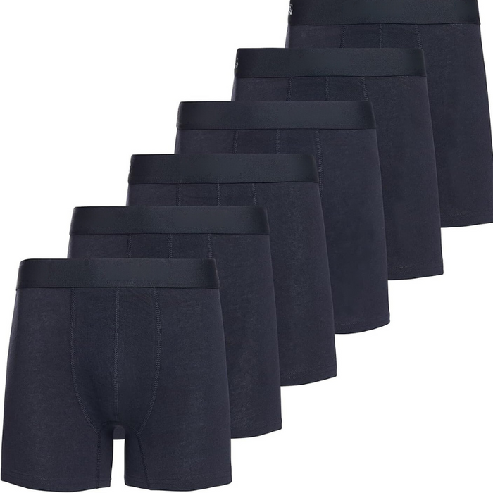 6 Pack Vibrant Stretchable Boxer Briefs