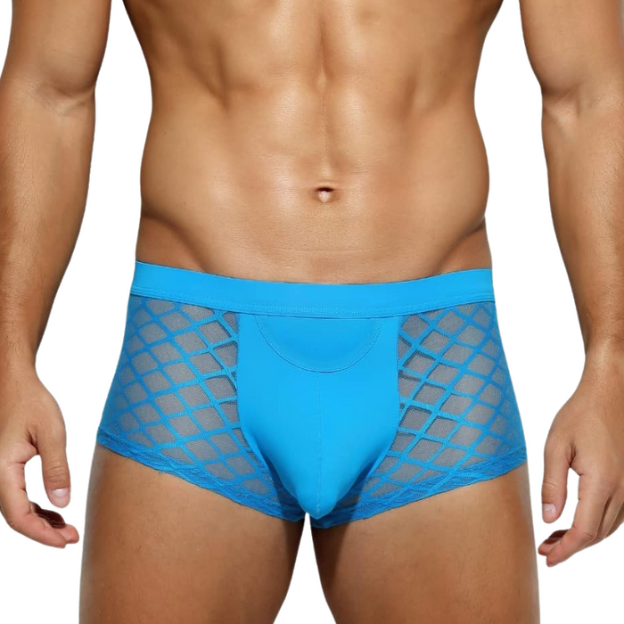 Stylish Mesh Panel Briefs