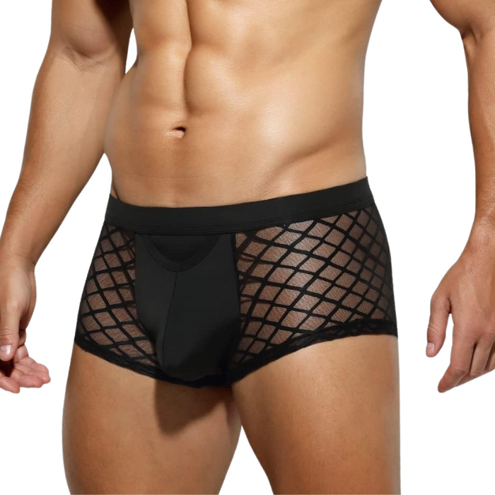 Stylish Mesh Panel Briefs