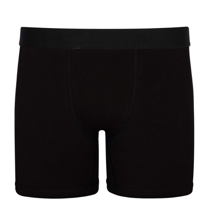 Classic Tones Boxer Briefs