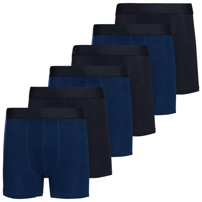 6 Pack Vibrant Stretchable Boxer Briefs