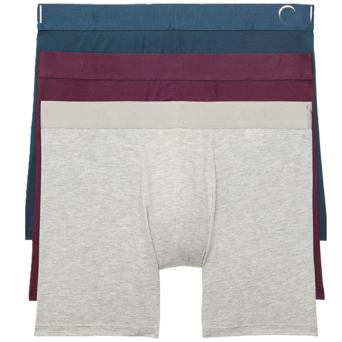 Ultra Soft Modern Modal Boxer Brief